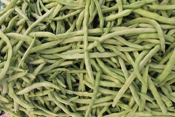 Fresh green beans to cook a lot on the table