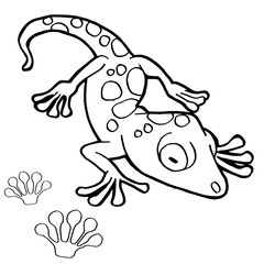 paw print with Gekko Coloring Page vector
