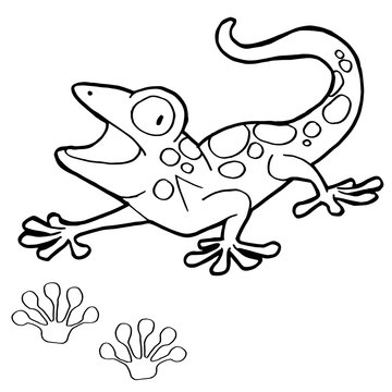 paw print with Gekko Coloring Page vector
