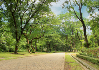 Fototapeta na wymiar Stone Pathway in the Green Park