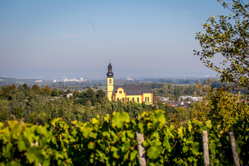  Pfarrkirche St. Gereon in Nackenheim