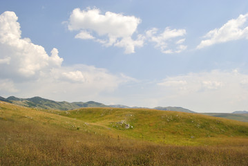Fototapeta na wymiar Alpine meadows of Durmitor national park, Montenegro.