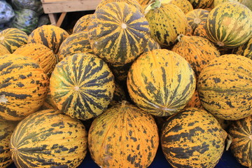 
Melon sweet summer harvest juicy on the table