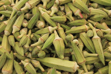 Okra pods of green spiky conical shape on the table in a large amount