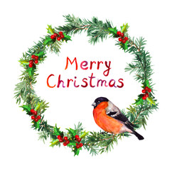 New year wreath - spruce and bullfinch bird. Watercolor 