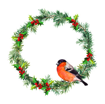 New year wreath - spruce and bullfinch bird. Watercolor 