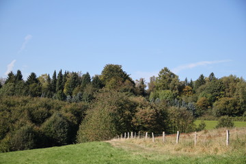 Naturlandschaft im Spätsommer