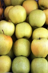 Yellow  green apples