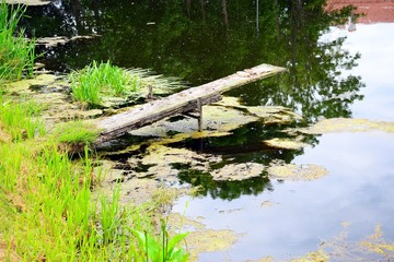 Ponds of Panemune old castle ensemble on June 27, 2015