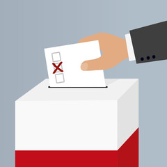 wybory parlamentarne, głosowanie, referendum