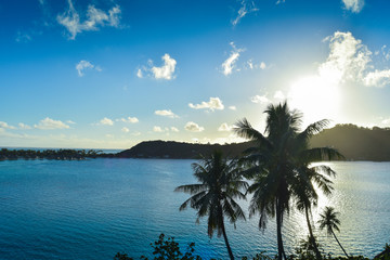 Panorama Palme Polinesia