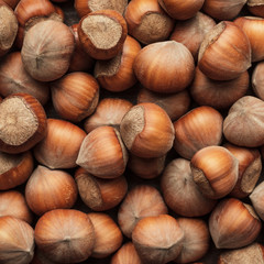 hazelnuts on the brown wooden table