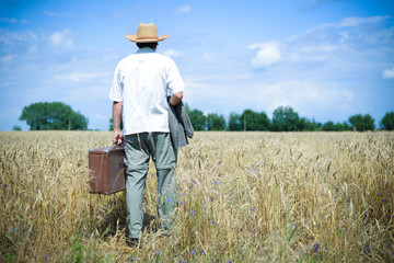 Naklejka na ściany i meble Man wearing hat with suitcase walking away through wheat field