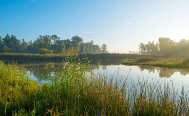 Shore of a lake at sunrise in autumn