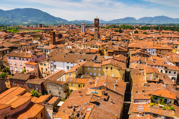 View over Italian town Lucca with typical terracotta roofs - obrazy, fototapety, plakaty