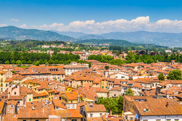 Fototapeta na wymiar View over Italian town Lucca with typical terracotta roofs