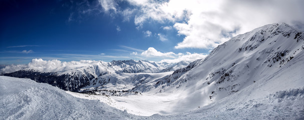 Winter mountain fir forest snowy panorama