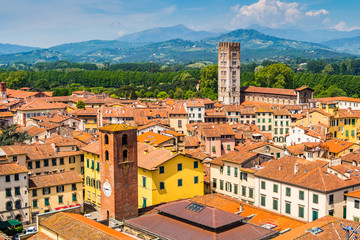 View over Italian town Lucca with typical terracotta roofs - obrazy, fototapety, plakaty