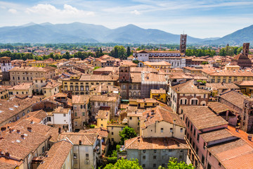 Fototapeta premium View over Italian town Lucca with typical terracotta roofs