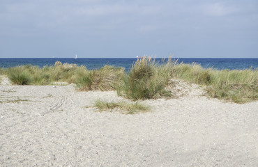 sand dunes in autumn