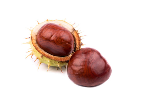 A pair of chestnuts with shells on a white background