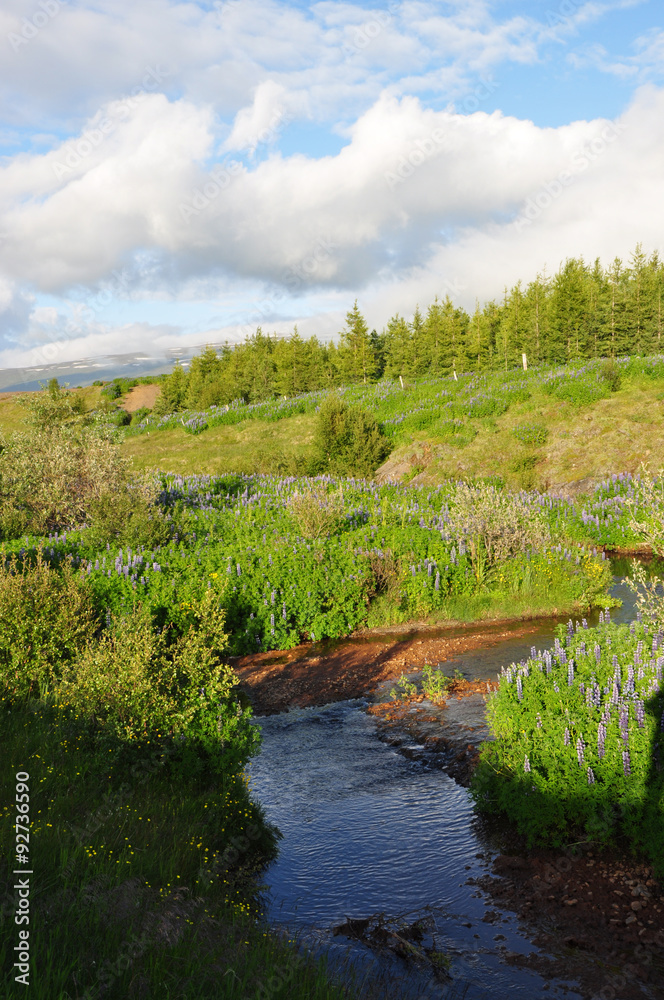 Poster Landschaft bei Egilsstadir, Island