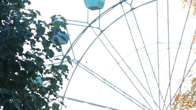 a huge Ferris wheel in autumn park on a background of yellow trees without people