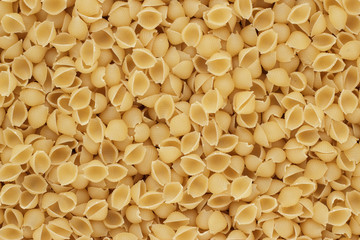 close-up of dry uncooked conchiglie pasta