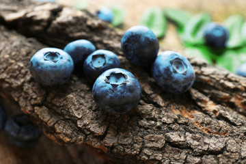 Fresh blueberries with tree on wooden table, closeup