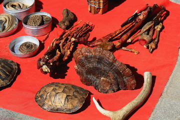 Gingseng-antler-turtle shell. Market around Tashilunpo monastery-Shigatse-Tibet. 1745