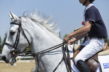 Close up of the horse during competition matches riding round ob