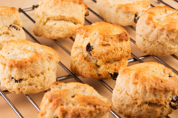 Freshly baked scones on a cooling rack