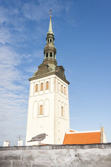 Fototapeta na wymiar Seagull stand on a wall in Tallinn