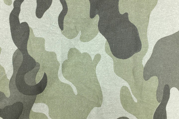 Camouflage pattern and background.