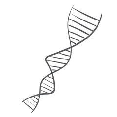 DNA spiral