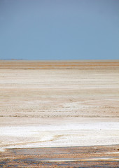 Deserto salino della Namibia