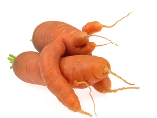 carottes bizarres