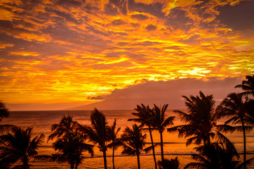 Lanai Sunset