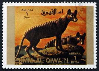 Postage stamp Umm al-Quwain 1972 Tasmanian Wolf