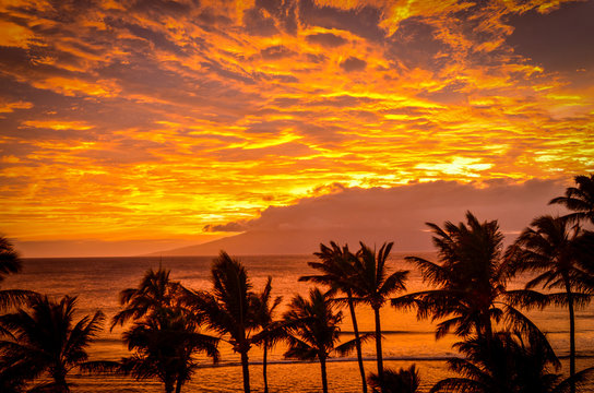 Fototapeta Lanai Sunset