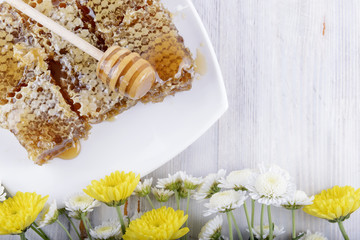 honeycombs and flowers on white wooden background