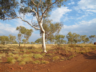 Karijini National Park, Western Australia