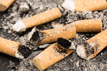 Cigarette butts close up