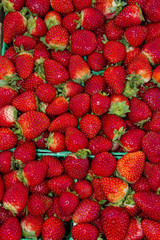 A bunch of fresh, ripe strawberries