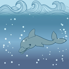 dolphin under water