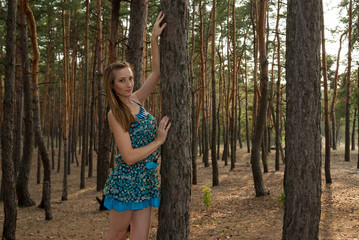 attractive elegant woman in short dress in forest among pines
