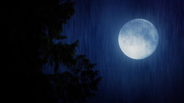 Moon And Tree In Heavy Rain