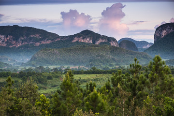 Landscape of mogote in Vinales Valley in Cuba.