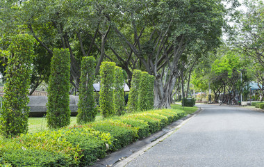 walk way in green park for relax citylife