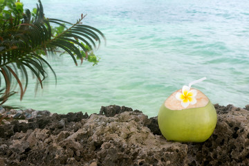 Tropical Coconut Refreshment